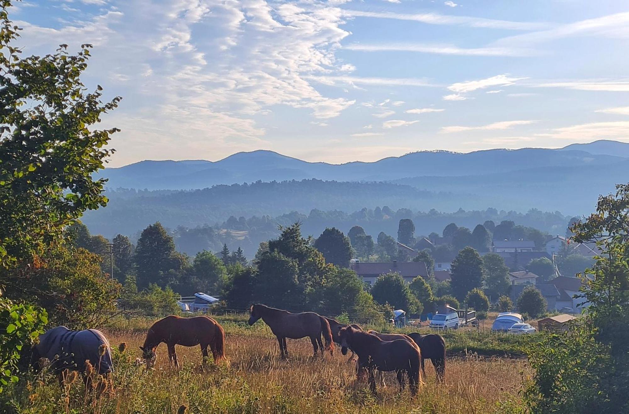 Camp The Sunrise Hill Hotel Pivka Luaran gambar